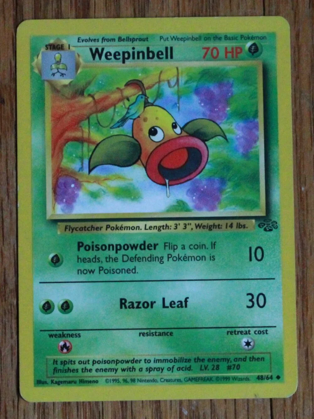 Vintage Pokemon 1999 